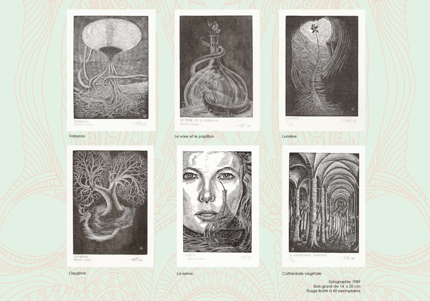 gravure-sur-bois-style fantastique